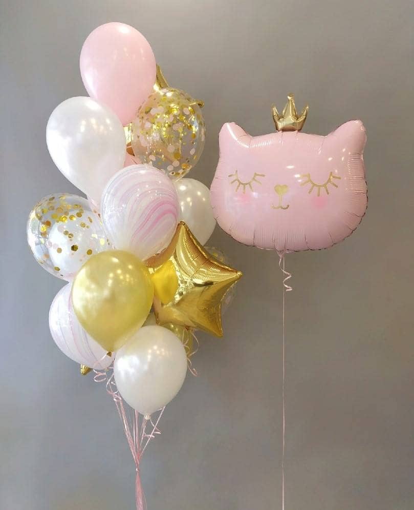 Сет Кошка с короной для девочки 1
